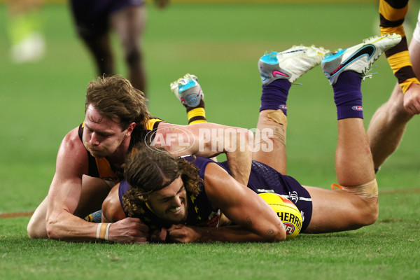 AFL Rd 8 - Fremantle v Hawthorn - A-1435202