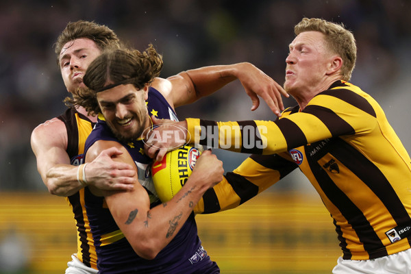 AFL Rd 8 - Fremantle v Hawthorn - A-1435208