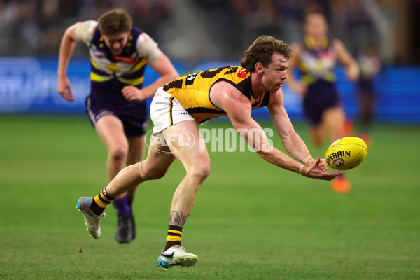 AFL Rd 8 - Fremantle v Hawthorn - A-1439689