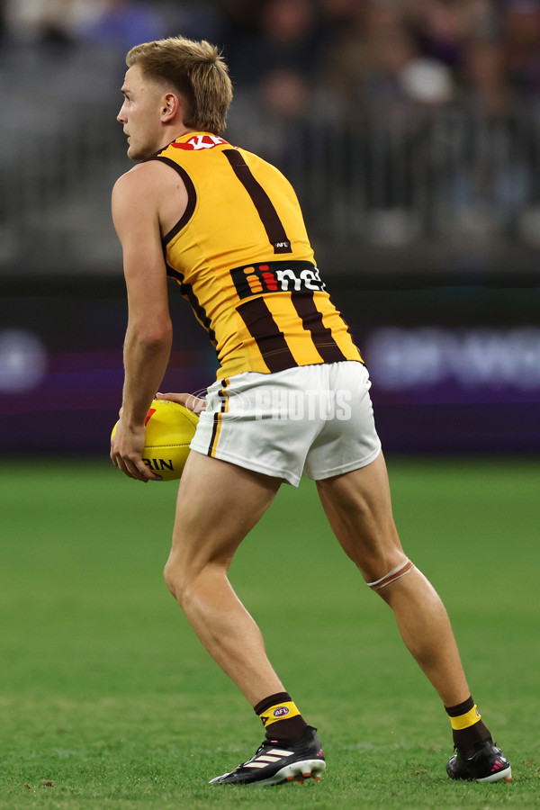 AFL Rd 8 - Fremantle v Hawthorn - A-1439731