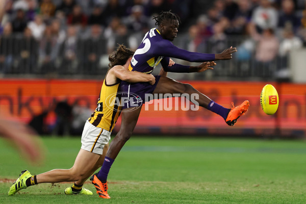 AFL Rd 8 - Fremantle v Hawthorn - A-1439754