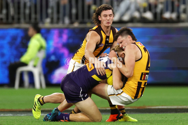 AFL Rd 8 - Fremantle v Hawthorn - A-1442993