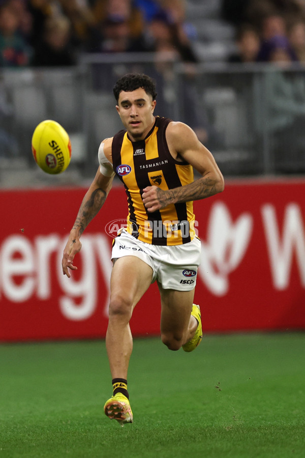 AFL Rd 8 - Fremantle v Hawthorn - A-1442996