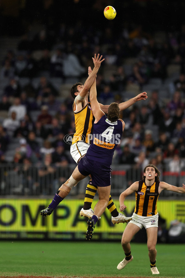 AFL Rd 8 - Fremantle v Hawthorn - A-1442997