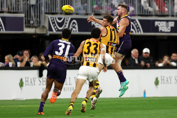 AFL Rd 8 - Fremantle v Hawthorn - A-1443002