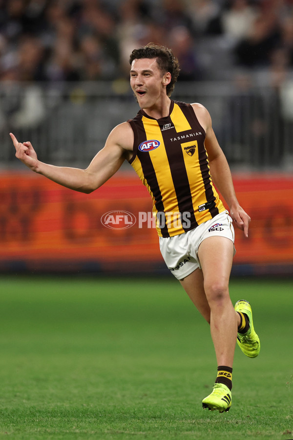 AFL Rd 8 - Fremantle v Hawthorn - A-1443018