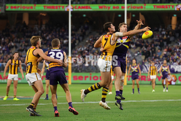 AFL Rd 8 - Fremantle v Hawthorn - A-1443052