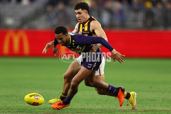 AFL Rd 8 - Fremantle v Hawthorn - A-1443704