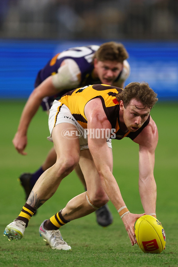 AFL Rd 8 - Fremantle v Hawthorn - A-1443718