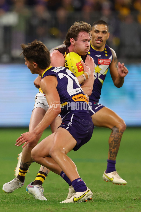 AFL Rd 8 - Fremantle v Hawthorn - A-1443725