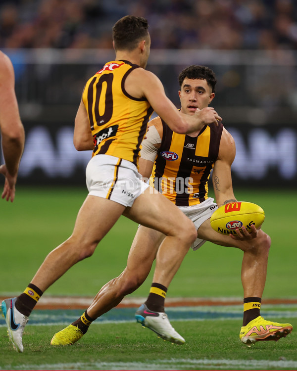 AFL Rd 8 - Fremantle v Hawthorn - A-1443737