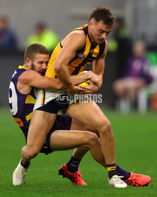 AFL Rd 8 - Fremantle v Hawthorn - A-1443739