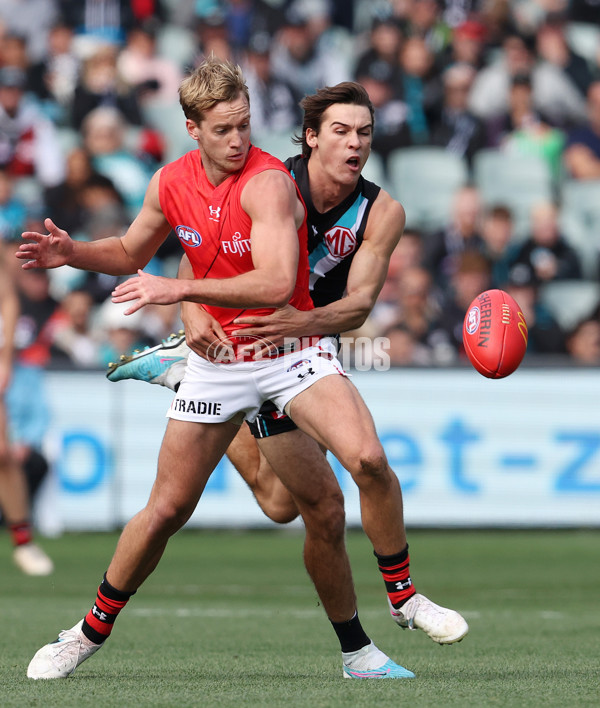 AFL Rd 8 - Port Adelaide v Essendon - A-1443777