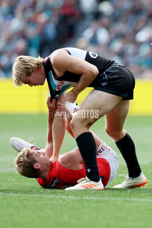 AFL Rd 8 - Port Adelaide v Essendon - A-1443779