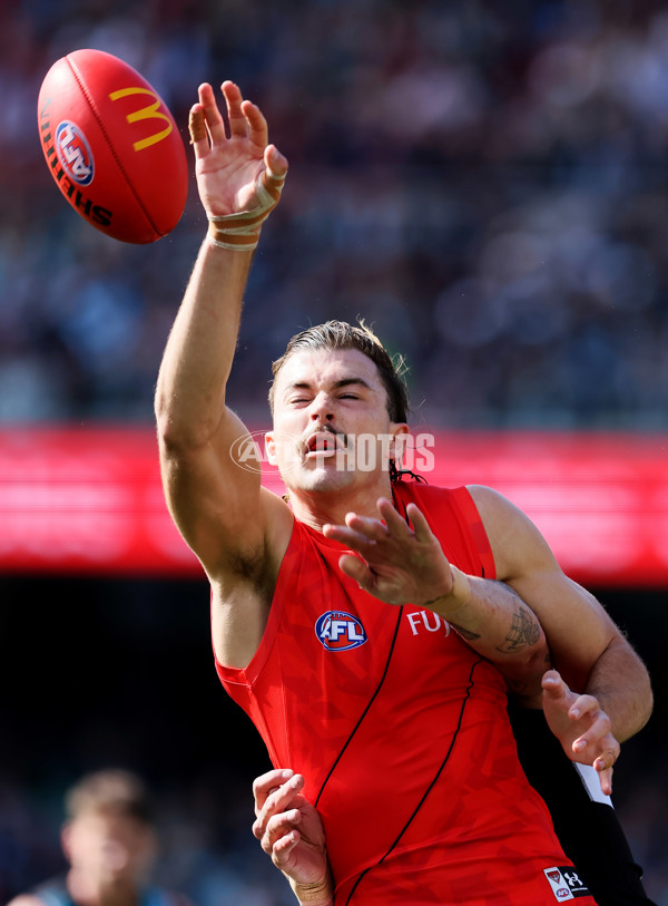 AFL Rd 8 - Port Adelaide v Essendon - A-1447660