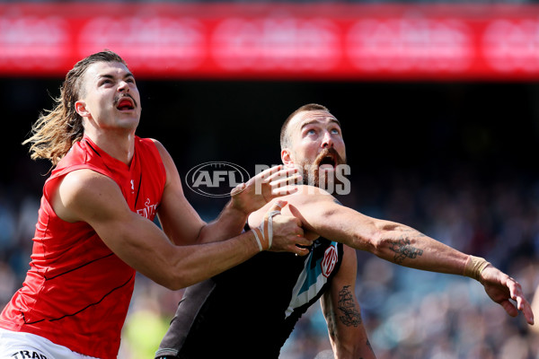 AFL Rd 8 - Port Adelaide v Essendon - A-1447662