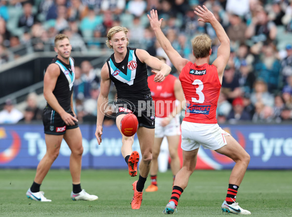 AFL Rd 8 - Port Adelaide v Essendon - A-1447699