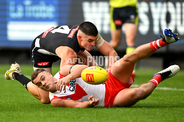 AFL Rd 8 - Collingwood v Sydney - A-1450436