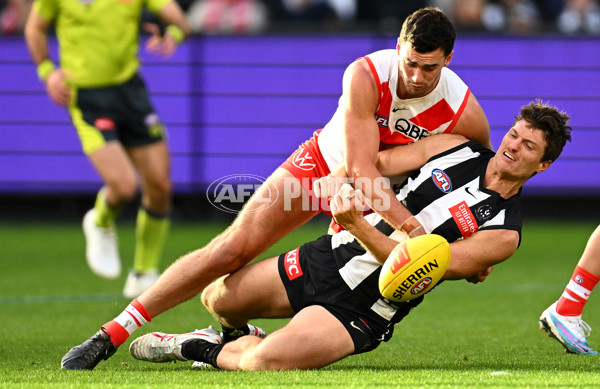 AFL Rd 8 - Collingwood v Sydney - A-1451447