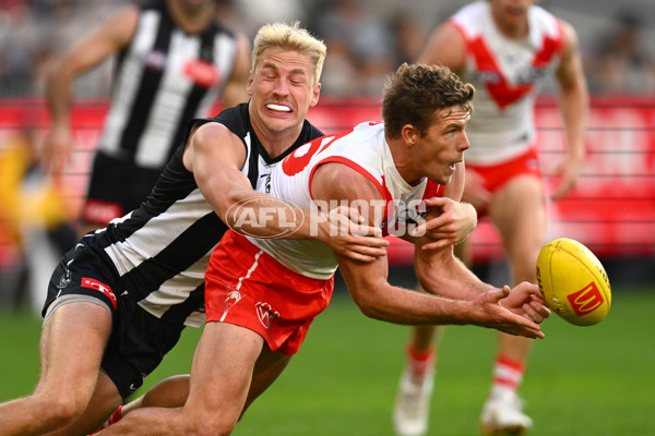 AFL Rd 8 - Collingwood v Sydney - A-1451455