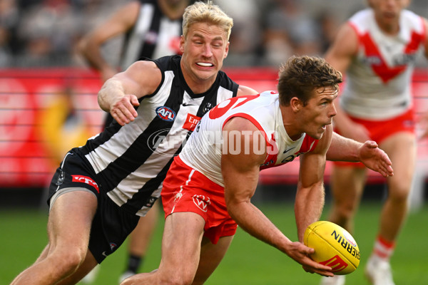 AFL Rd 8 - Collingwood v Sydney - A-1451461