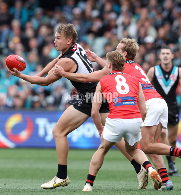 AFL Rd 8 - Port Adelaide v Essendon - A-1453296