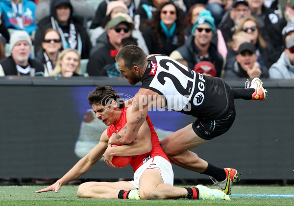 AFL Rd 8 - Port Adelaide v Essendon - A-1453357