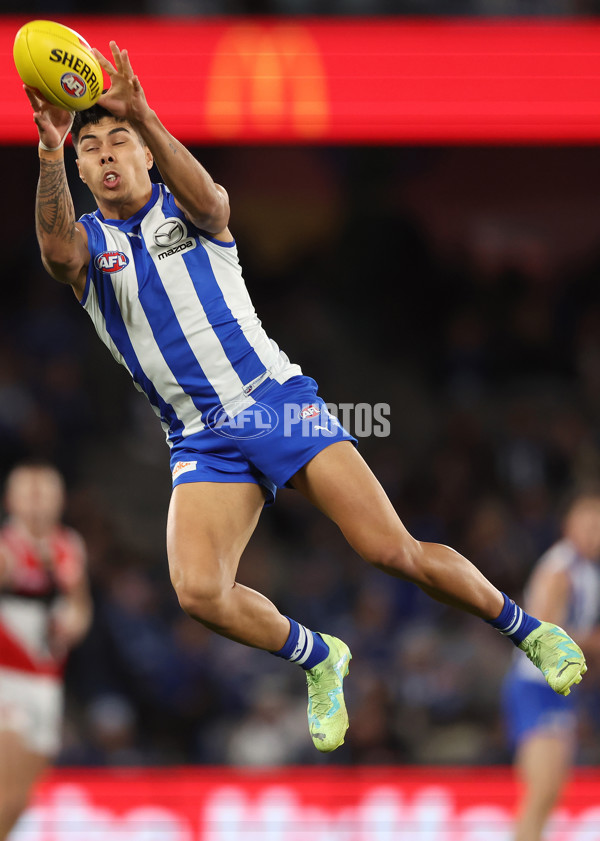 AFL Rd 8 - North Melbourne v St Kilda - A-1454617