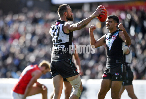 AFL Rd 8 - Port Adelaide v Essendon - A-1456124