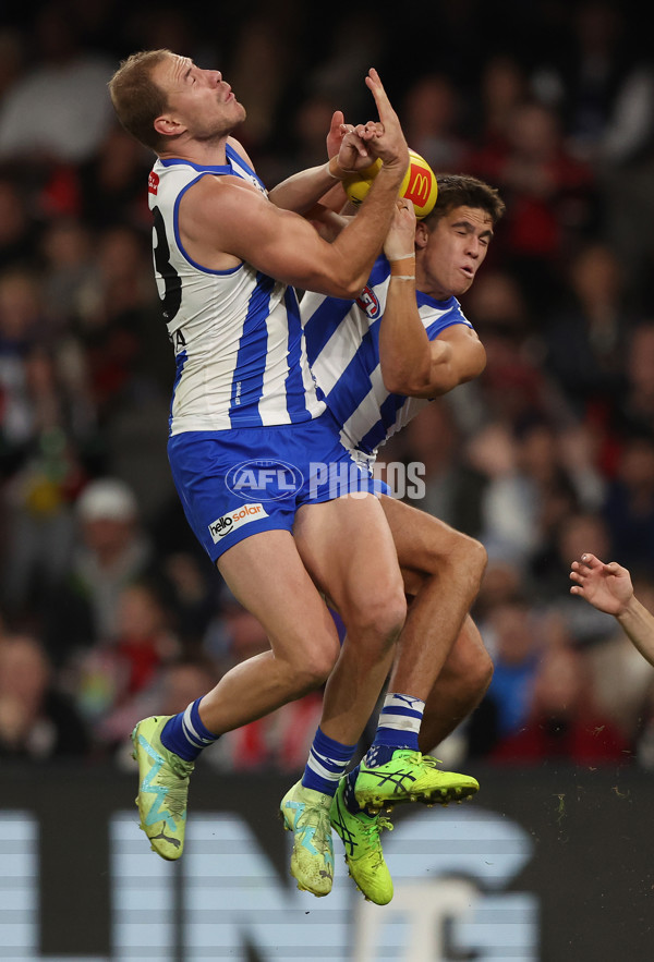 AFL Rd 8 - North Melbourne v St Kilda - A-1456164