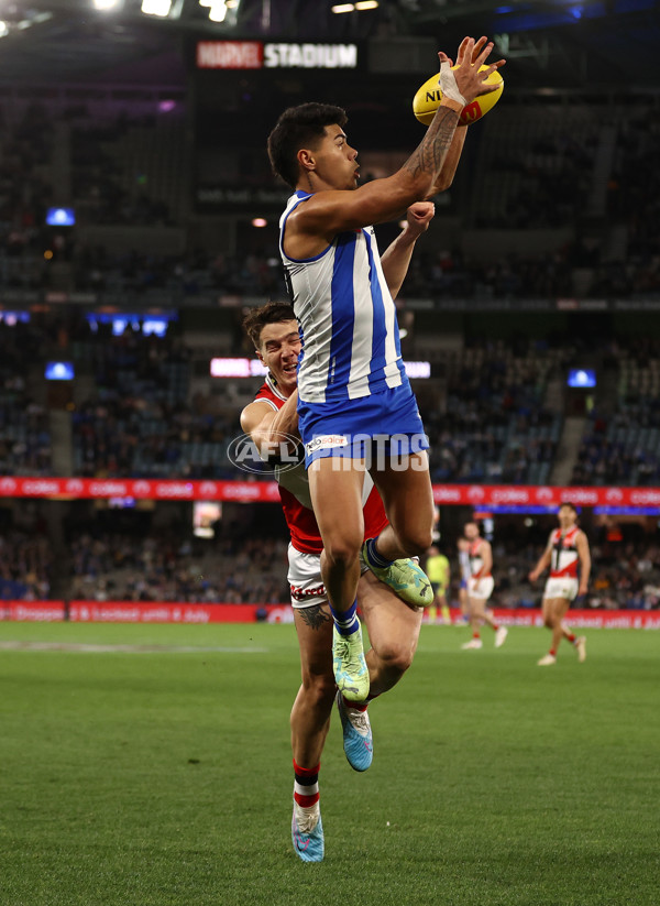 AFL Rd 8 - North Melbourne v St Kilda - A-1456180