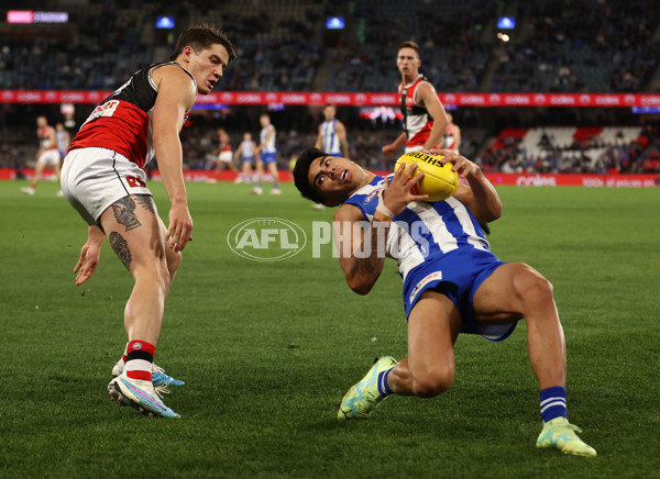 AFL Rd 8 - North Melbourne v St Kilda - A-1457847