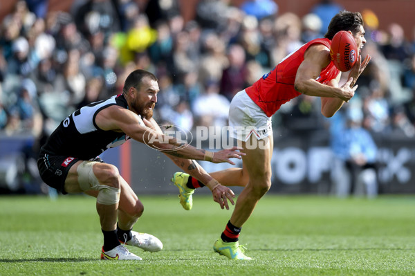 AFL Rd 8 - Port Adelaide v Essendon - A-1457861