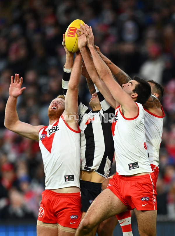 AFL Rd 8 - Collingwood v Sydney - A-1457881