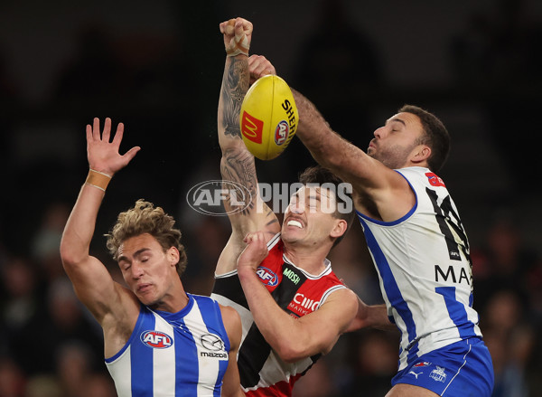 AFL Rd 8 - North Melbourne v St Kilda - A-1457886