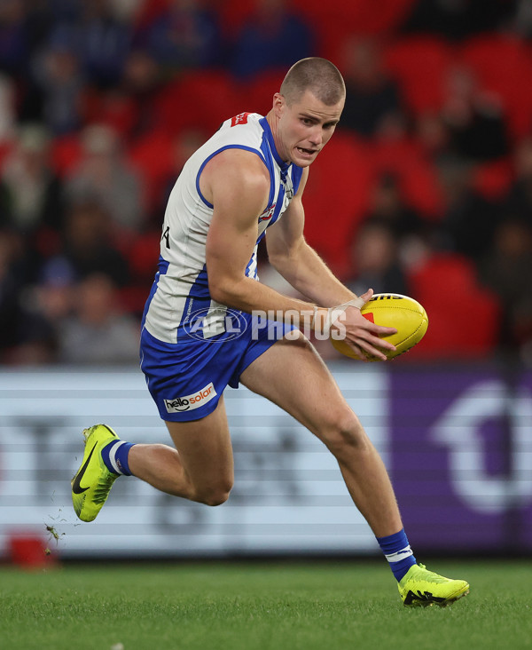 AFL Rd 8 - North Melbourne v St Kilda - A-1457887