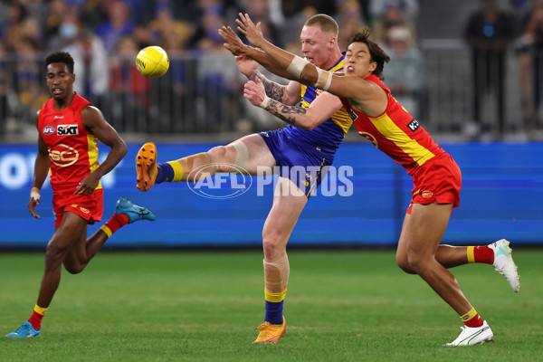 AFL Rd 9 - West Coast v Gold Coast - A-1476098