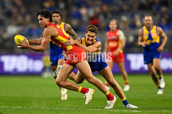 AFL Rd 9 - West Coast v Gold Coast - A-1478565