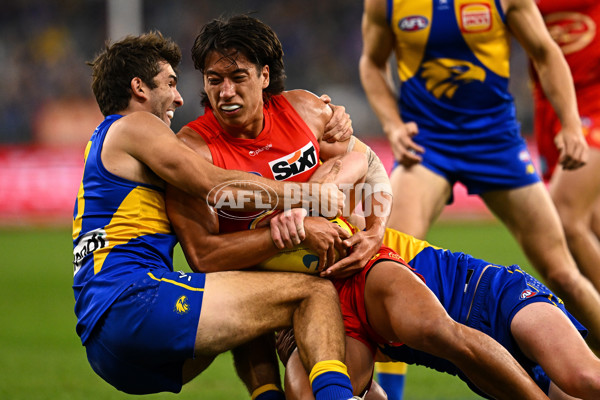 AFL Rd 9 - West Coast v Gold Coast - A-1478590