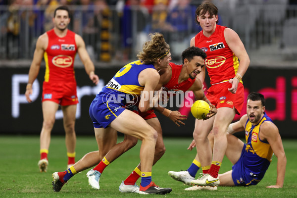 AFL Rd 9 - West Coast v Gold Coast - A-1479274