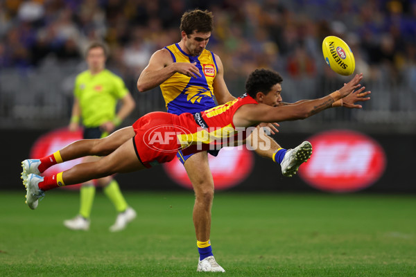 AFL Rd 9 - West Coast v Gold Coast - A-1481595