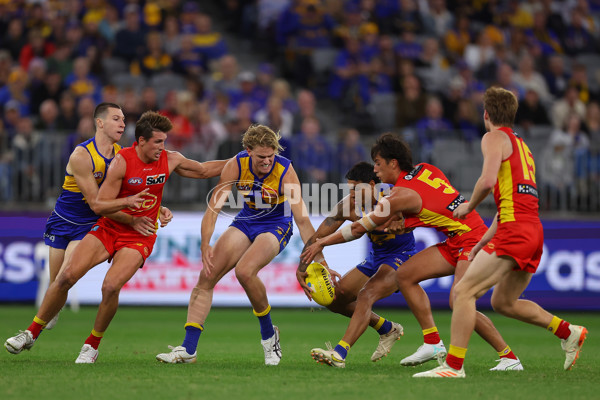 AFL Rd 9 - West Coast v Gold Coast - A-1481602