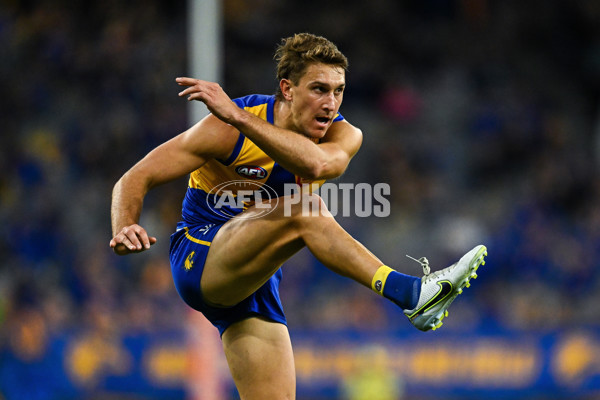 AFL Rd 9 - West Coast v Gold Coast - A-1481616