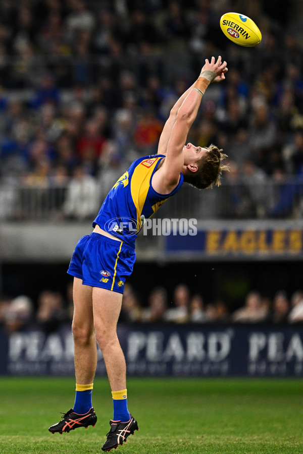 AFL Rd 9 - West Coast v Gold Coast - A-1481636