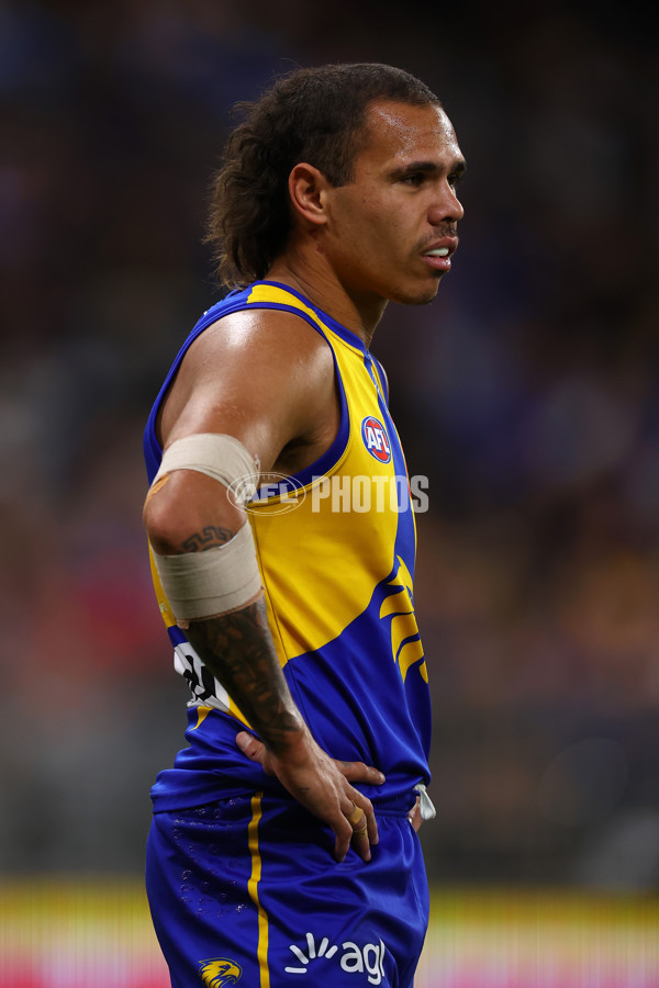 AFL Rd 9 - West Coast v Gold Coast - A-1481648