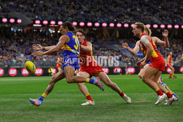 AFL Rd 9 - West Coast v Gold Coast - A-1481649