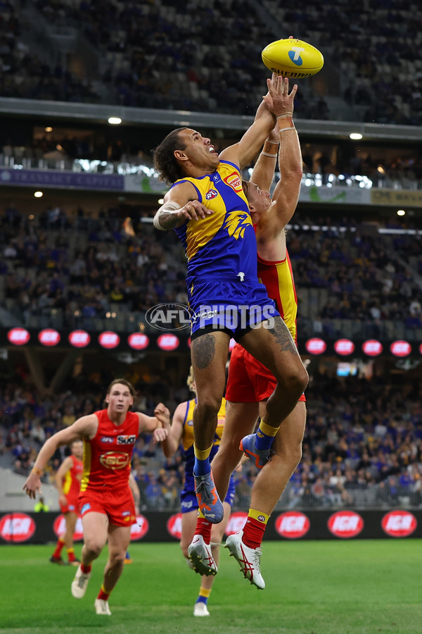 AFL Rd 9 - West Coast v Gold Coast - A-1481653