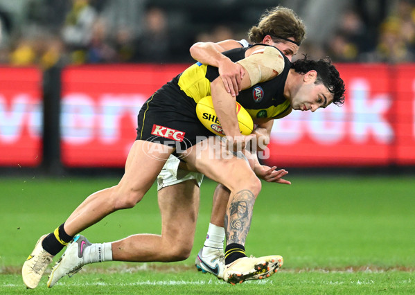 AFL Rd 9 - Richmond v Geelong - A-1481667