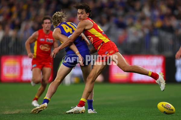 AFL Rd 9 - West Coast v Gold Coast - A-1482278