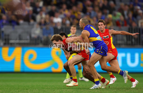 AFL Rd 9 - West Coast v Gold Coast - A-1482316